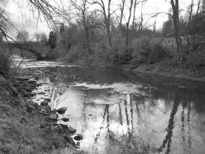 this one here black and white