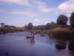 efishback