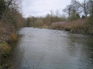 plain water river kelvin